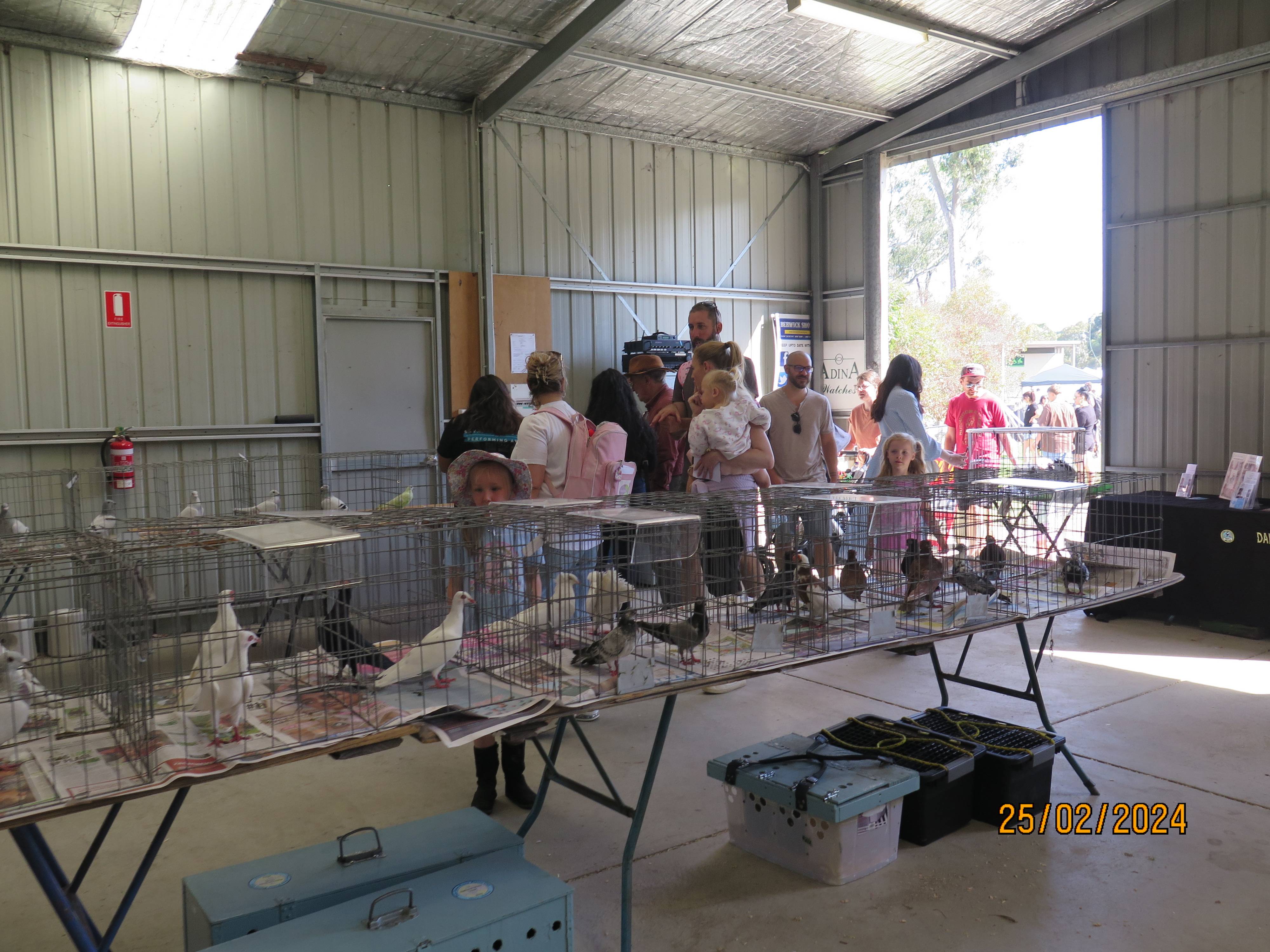 DFPS @ 2024 Berwick Show