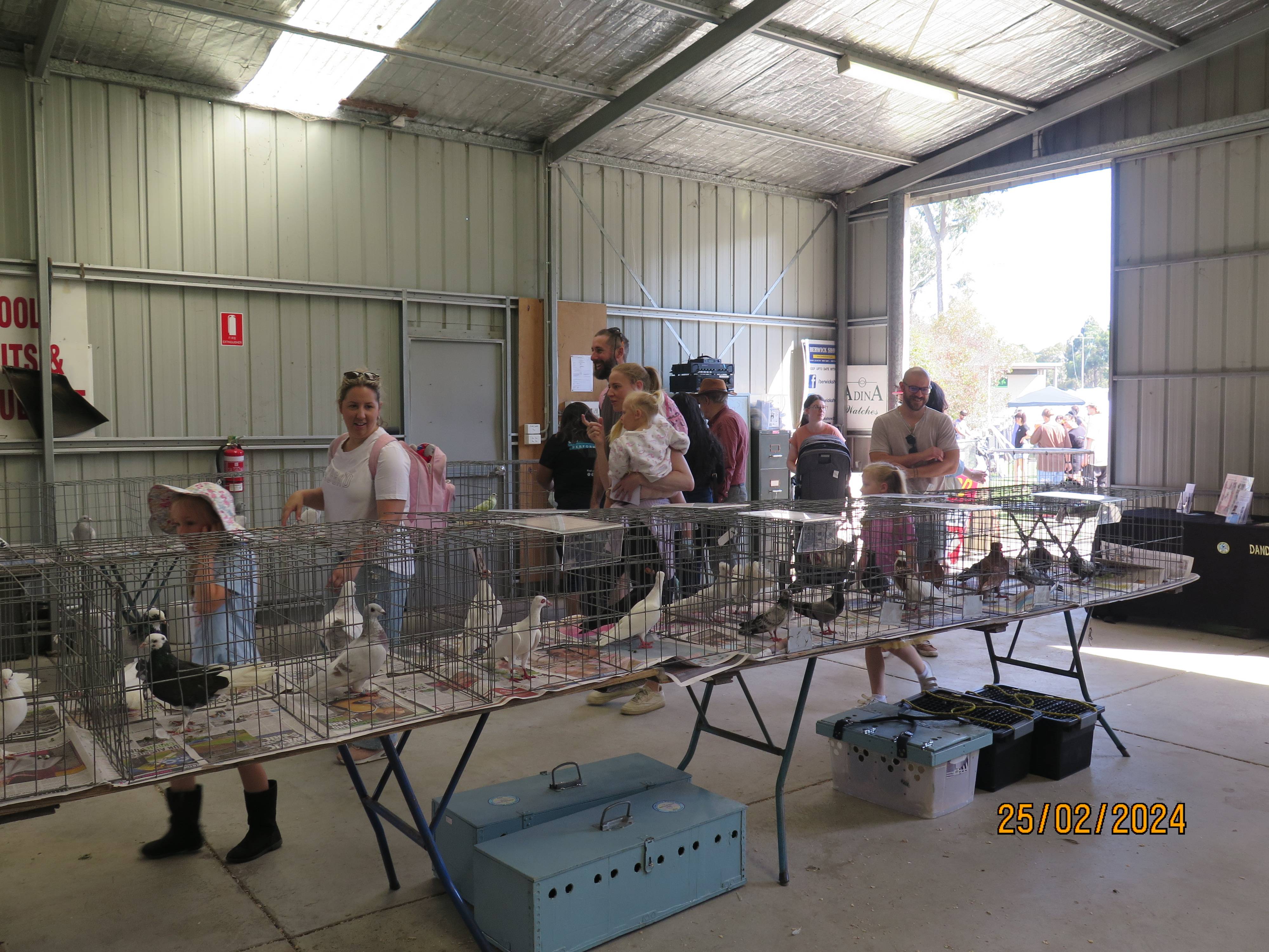 DFPS @ 2024 Berwick Show