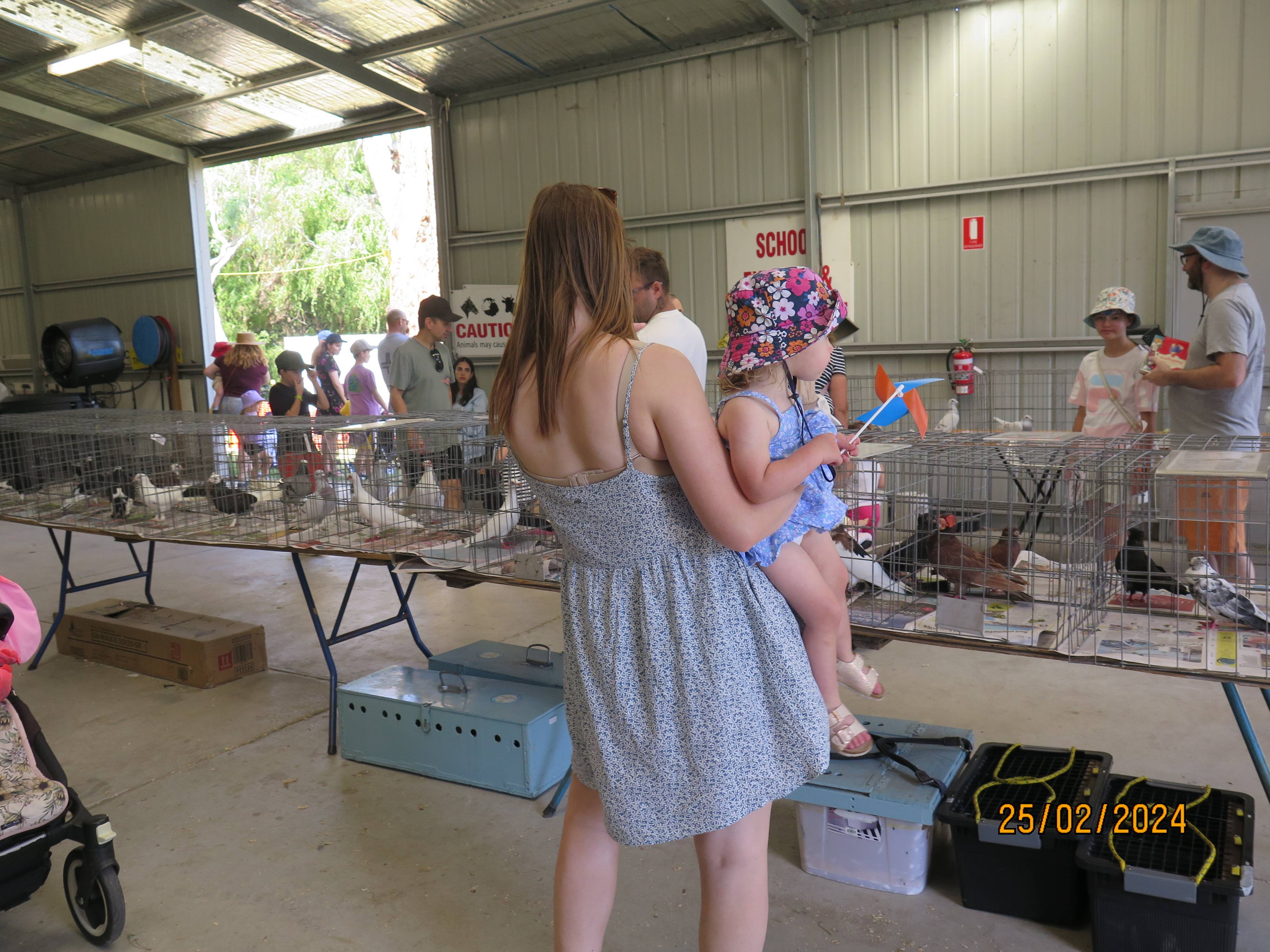 DFPS @ 2024 Berwick Show